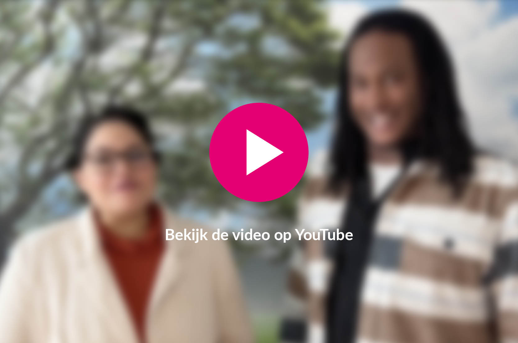 Website Nieuws 2026 Stanislas